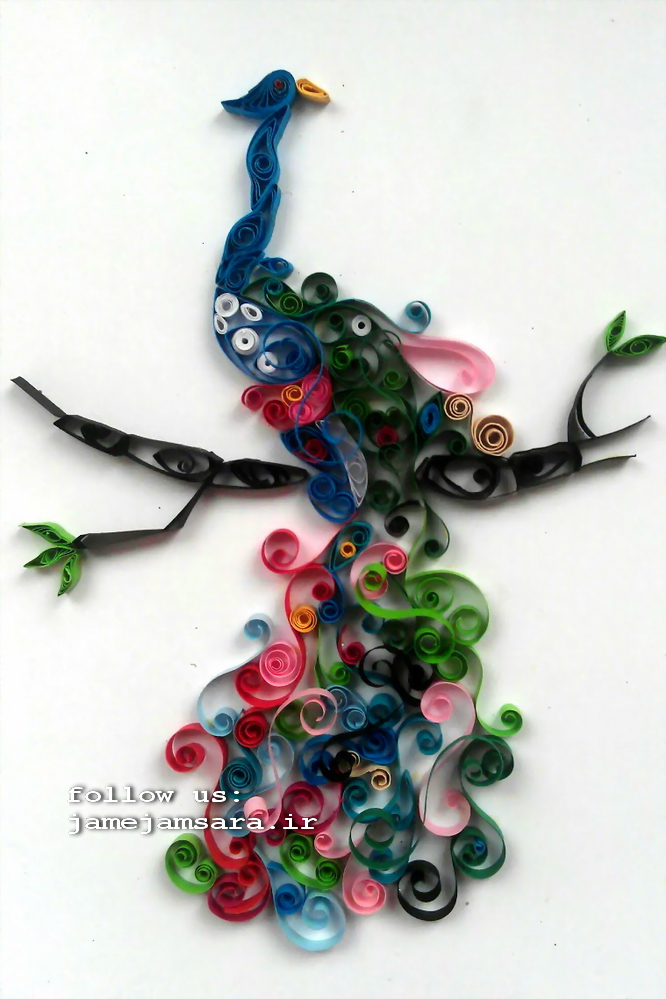 طاووس؛ هنر در خانه؛ کاردستی؛ جام جم سرا