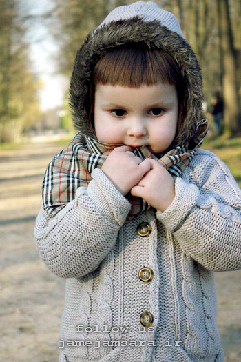 /Media/Free/1392/11/11/635267936262713665.jpg?0.5642823102080774