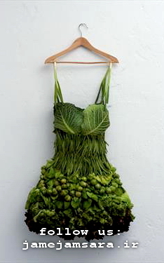 /Media/Free/1392/12/05/635288492816247449.jpg?0.7624444812863874