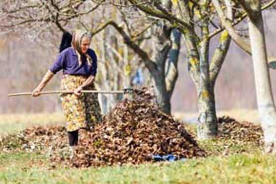 ماجرای رفتگر میلیونر