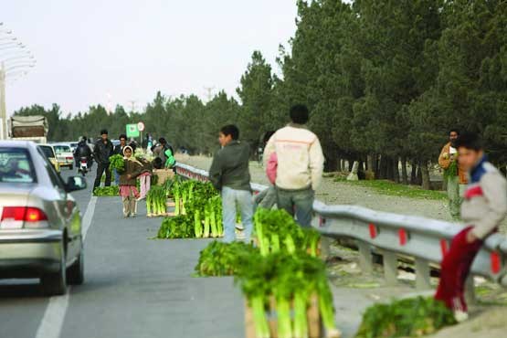 کودکان و نوجوانان بی‌سرپرست شناسنامه‌دار می‌شوند