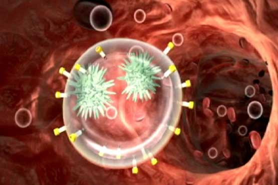 ویروس ایدز سبب خودکشی سلول های بدن می شود