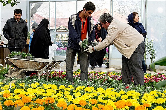 محلات سرزمین گل و گیاه با چشمه های آبگرم