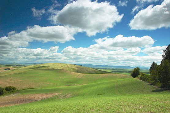 وزش باد در تهران