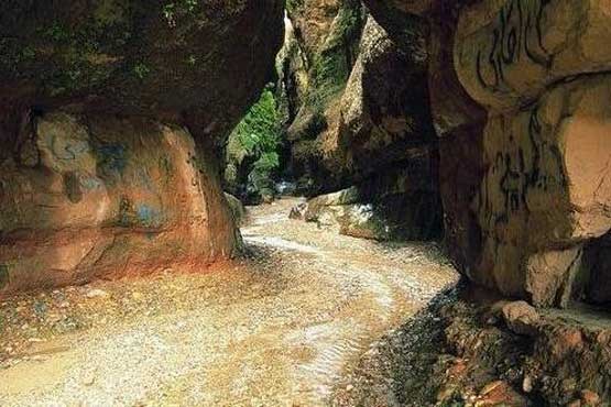 سرمای «زینه گان» گرما را از یاد می برد + عکس