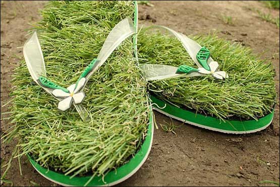 تولید دمپایی چمنی برای حس قدم زدن در طبیعت تولید دمپایی چمنی برای حس قدم زدن در طبیعت