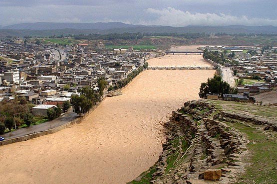 کشکان همچنان قربانی می گیرد