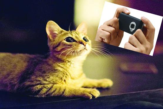 عکاسی با موبایل در نور کم