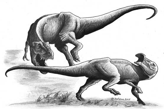 کدام یک برنده است؛ دایناسور خونسرد یا خونگرم؟