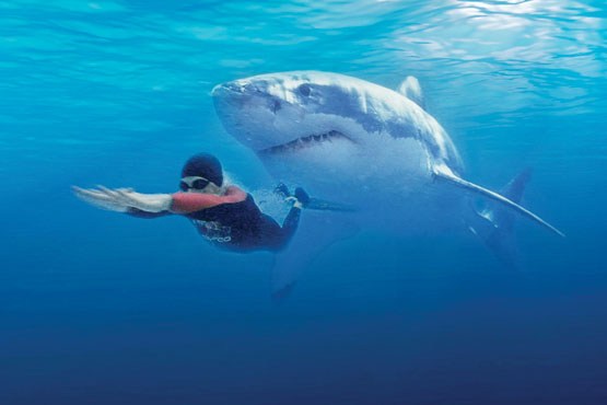 لباسی که به کوسهها میگوید «من را نخور» لباسی که به کوسهها میگوید «من را نخور»