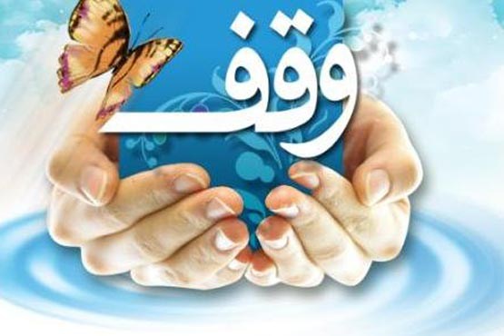 واقفان با احساس واقفان نکته‌بین