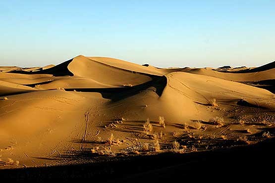 جوان اصفهانی در کویر  گم شد