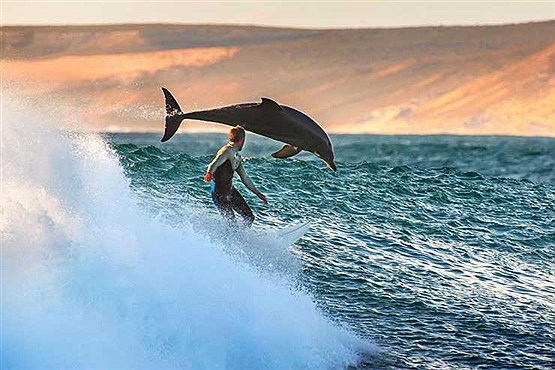 تماشایی از گوشه و کنار دنیا