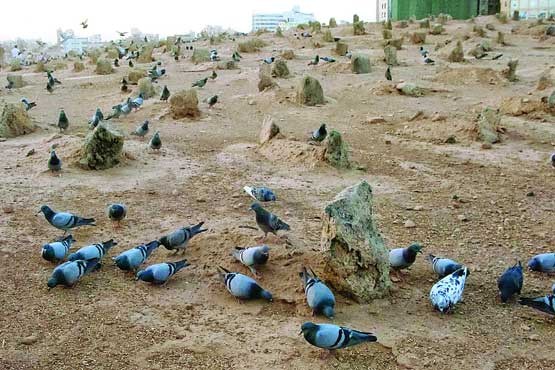 حکومت معرفتی امام باقر(ع)