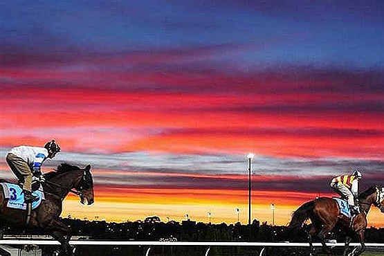 تماشایی از گوشه و کنار دنیا