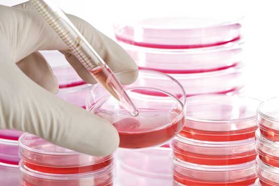 قضاوت با ‌شما