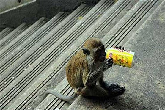 سرگرم کننده ازگوشه وکنار جهان