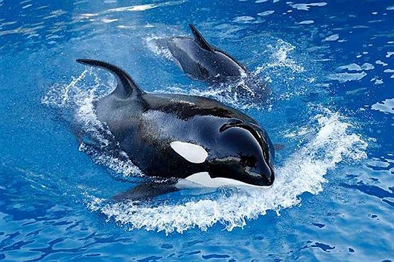 دیدنی های جهان از دریچه دوربین
