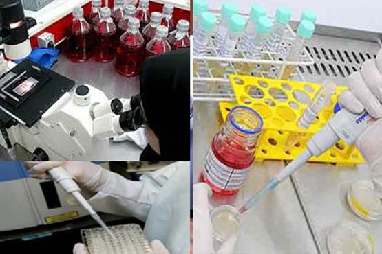 تولید داروی ضد سرطان در دانشگاه اصفهان تولید داروی ضد سرطان در دانشگاه اصفهان