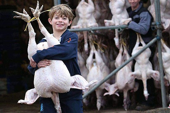 عکس های جالب خبری روز