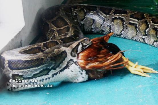 /Media/Image/1392/10/28/635256582753486423.jpg?0.670414024906173