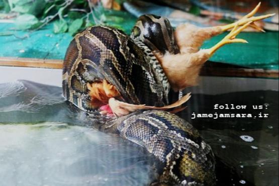 /Media/Image/1392/10/28/635256582869035623.jpg?0.2928920674803971