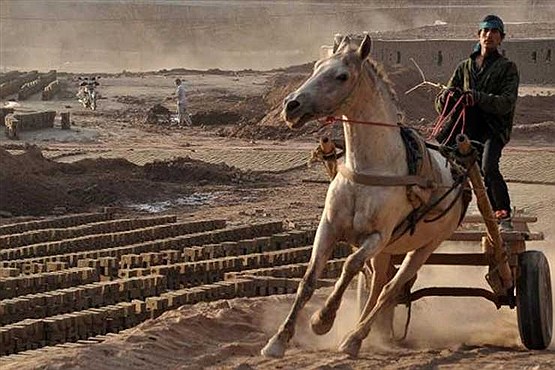 عکس های دیدنی خبری روز