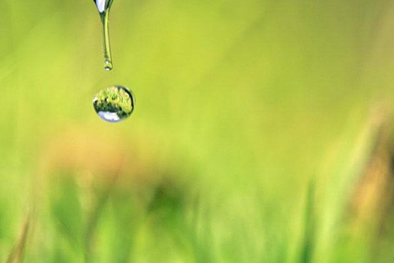 چاپگرهایی که با آب کار می‌کنند