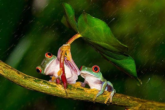 دیدنی های دنیا به روایت تصویر