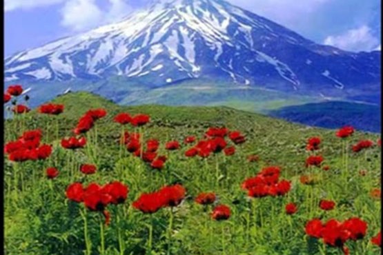 وطنم از سالار عقیلی