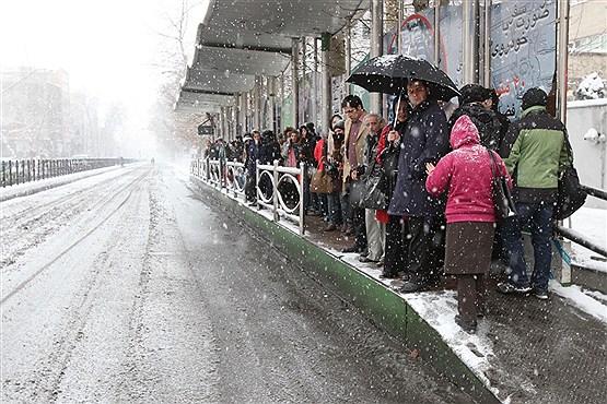 دنیا را برف ببرد، برخی‌ها را خواب می‌برد