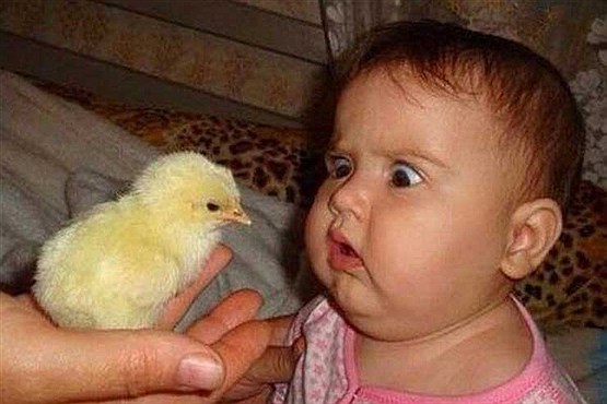 عکس ‌های خنده دار و بدون شرح