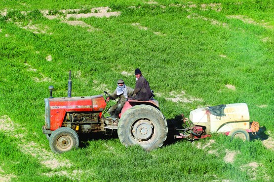 پیشروی آب شور در جنوب فارس