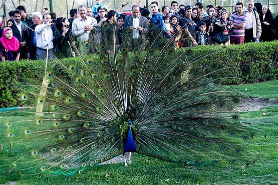 جاذبه گردشگری اصفهان