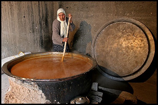 سمنو را با چارپا می فرستادند