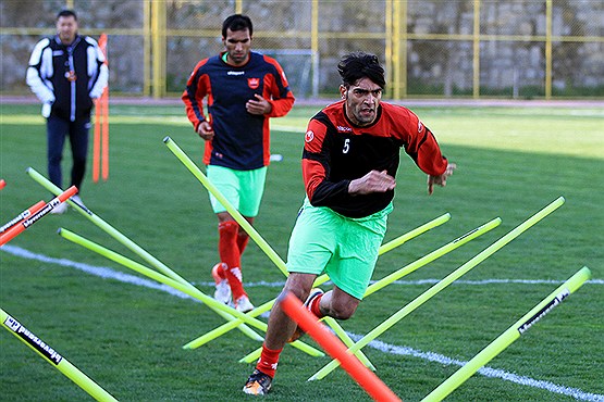 رضا حقیقی در پرسپولیس می‌ماند