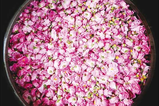 ماه گل