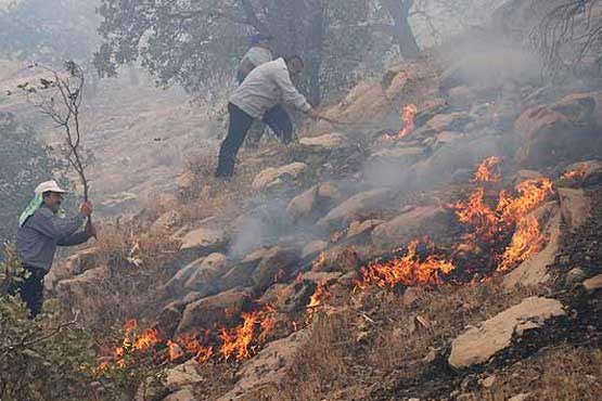کوه خامی به عزای مرگ بلوطهایش نشست + عکس کوه خامی به عزای مرگ بلوطهایش نشست + عکس