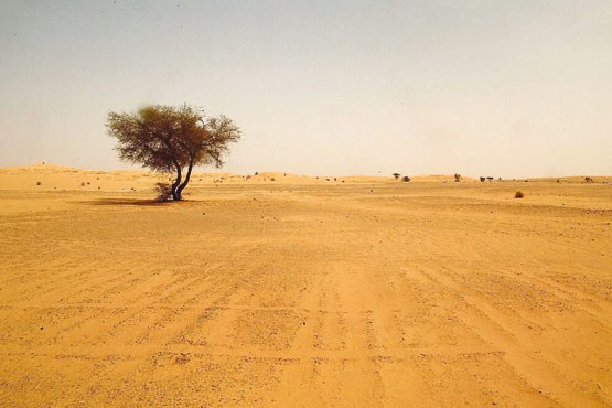 ساعت شنی بیابانزایی بسرعت پُر می‌شود