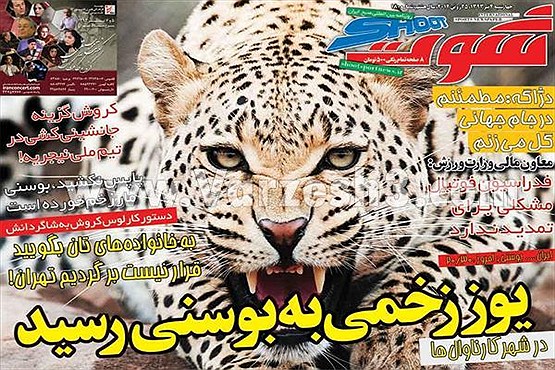 حمله یوز زخمی به بوسنی/تصاویر