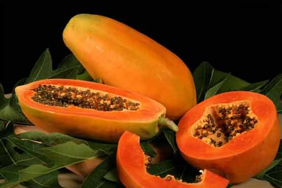 حرفهای زنانه: تنظیم قاعدگی با «پاپایا»