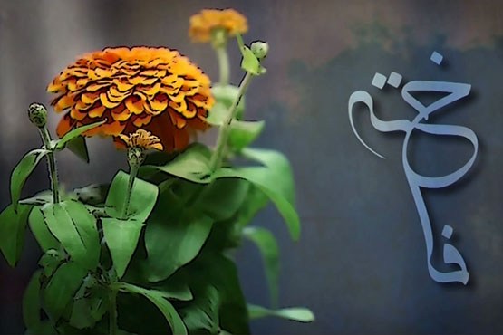شبکه دو / پنجشنبه