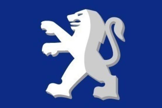 جدیدترین مدل پژو صحرایی!|عکس|