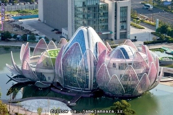 رقص رنگ و نور در سازه گلهای نیلوفر آبی|مجموعهعکس| رقص رنگ و نور در سازه گلهای نیلوفر آبی|مجموعهعکس|