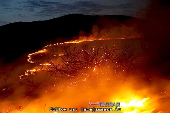 این مجرای نفَسمان است که میسوزد |مجموعهعکس| این مجرای نفَسمان است که میسوزد |مجموعهعکس|