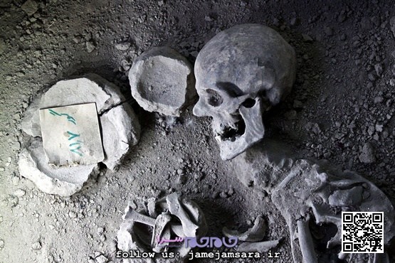 اسکلت‌ها در انتظار بازدید: بفرمائید ترس و لرز! |مجموعه‌عکس|