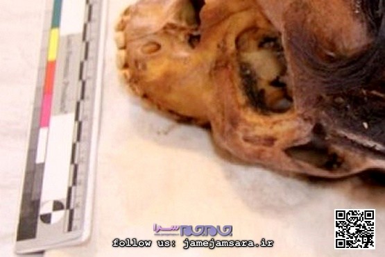 مدل موی باستانی: زنی با اکستنشن ۳۳۰۰ ساله! |عکس|