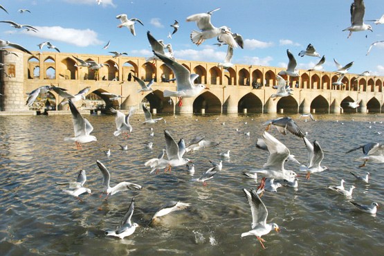 زاینده‌رود تا خردادماه جاری است