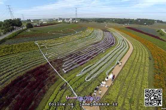 یک لباس عروس و ۴ کیلومتر دنباله! |عکس|