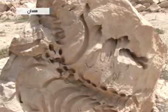 فسیل ۲۰ میلیون ساله گاو دریایی